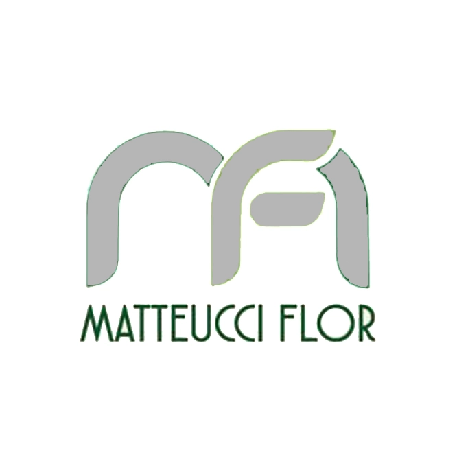 Matteucci
