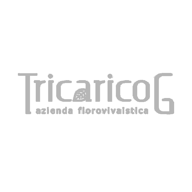 TricaricoG